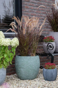 Bloempot Arizona Bullet Cypress Wash - D44 X H39cm - Groen -Bloempot Kortings Winkel arizona bullet cypress wash d44h39 bloempot 7 9