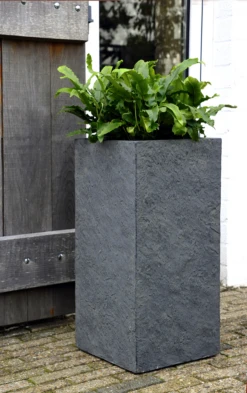 Plantenbak Arizona Cubihi - L22 X B22 X H50cm - Donkergrijs 4 Plantenbak Arizona Cubihi - L22 X B22 X H50cm - Donkergrijs -Bloempot Kortings Winkel arizona cubihi graphite w22h50 plantenbak 7 4