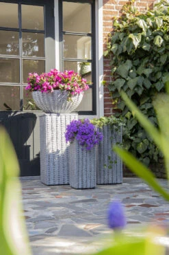 Plantenschaal Arkansas - D45 X H20cm - Lichtgrijs 4 Plantenschaal Arkansas - D45 X H20cm - Lichtgrijs -Bloempot Kortings Winkel arkansas bowl low washed grey d45h20 bloempot 7 9