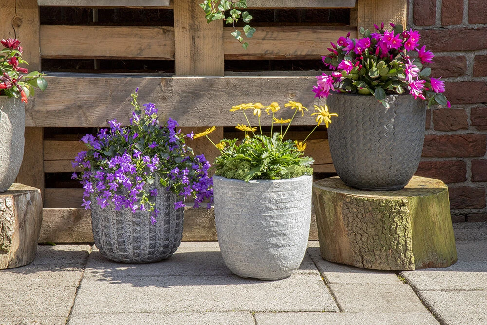 Bloempot Arkansas Egg Washed - d55 x h51cm - Lichtgrijs Bloempot Arkansas Egg Washed - D55 X H51cm - Lichtgrijs -Bloempot Kortings Winkel arkansas egg pot washed grey d55h51 bloempot 7 9