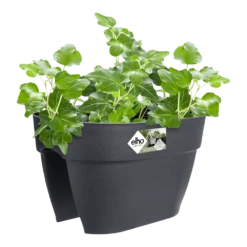 Elho Balkonbak Vibia Campana Bridge 40cm - Antraciet -Bloempot Kortings Winkel balkonbak vibia campana bridge 40cm antraciet balkonbak antraciet 3 1