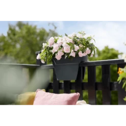 Elho Balkonbak Vibia Campana Bridge 40cm - Antraciet -Bloempot Kortings Winkel balkonbak vibia campana bridge 40cm antraciet balkonbak antraciet 5 1