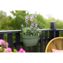 Elho Balkonbak Vibia Campana Easy Hanger Medium - Pistache Groen 6 Elho Balkonbak Vibia Campana Easy Hanger Medium - Pistache Groen -Bloempot Kortings Winkel balkonbak vibia campana easy hanger medium pistache groen balkonbak pistache groen 5 1