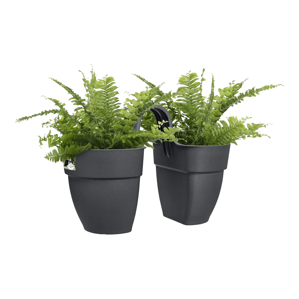 Balkonbak Vibia Campana Twin 21cm - Antraciet Elho Balkonbak Vibia Campana Twin 21cm - Antraciet -Bloempot Kortings Winkel balkonbak vibia campana twin 21cm antraciet balkonbak antraciet 3 1