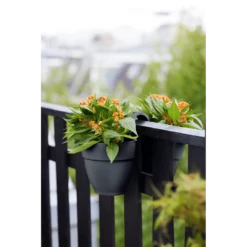 Elho Balkonbak Vibia Campana Twin 21cm - Antraciet 6 Elho Balkonbak Vibia Campana Twin 21cm - Antraciet -Bloempot Kortings Winkel balkonbak vibia campana twin 21cm antraciet balkonbak antraciet 5 1