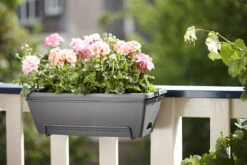 Balkonbak Elho Barcelona Allin 1 50cm - Antraciet -Bloempot Kortings Winkel barcelona allin1 50cm plantenbak antraciet 7 18