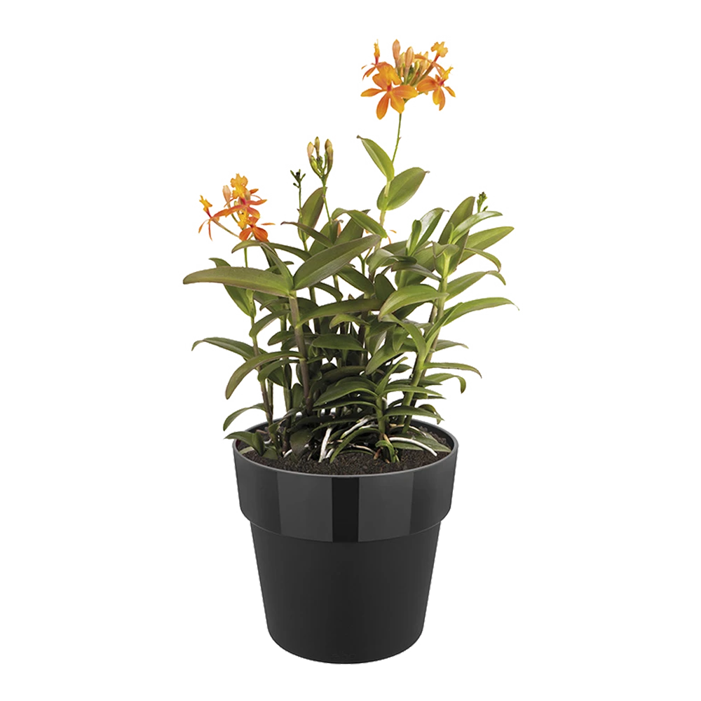 Bloempot Elho b.for original rond 25cm - Living black Bloempot Elho B.for Original Rond 25cm - Living Black -Bloempot Kortings Winkel bfor original rond 25cm bloempot living black 5 5