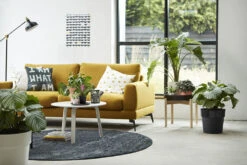 Bloempot Elho B.for Original Rond 25cm - Living Black 4 Bloempot Elho B.for Original Rond 25cm - Living Black -Bloempot Kortings Winkel bfor original rond 25cm bloempot living black 7 17