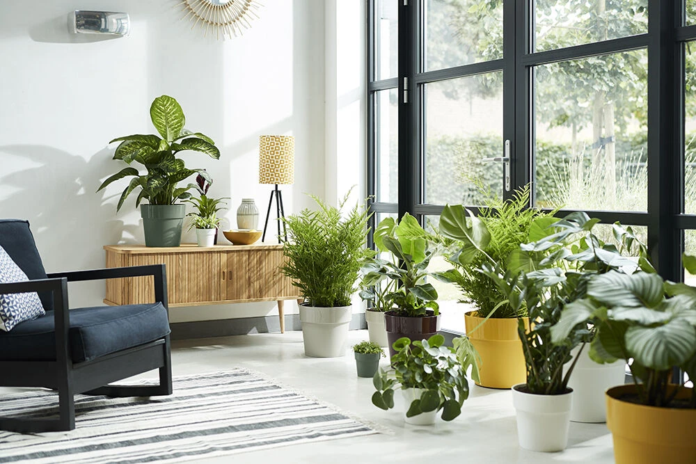 Bloempot Elho B.for Original Rond 30cm - Warm Grijs -Bloempot Kortings Winkel bfor original rond 30cm bloempot warm grijs 7 17