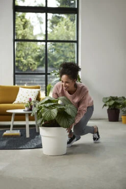 Bloempot Elho B.for Original Rond 30cm - Wit -Bloempot Kortings Winkel bfor original rond 30cm bloempot wit 7 17