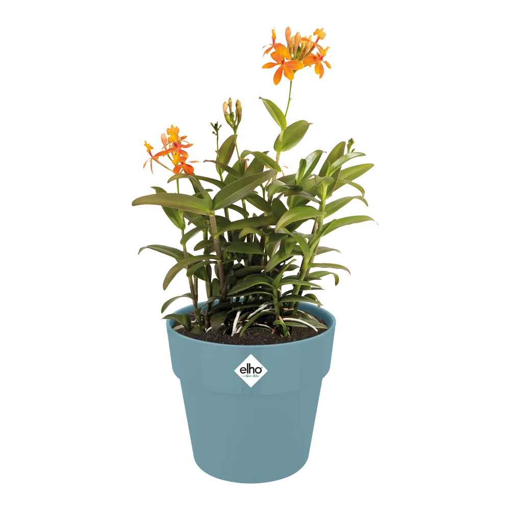 Bloempot Elho b.for original rond 25cm - Duifblauw Bloempot Elho B.for Original Rond 25cm - Duifblauw -Bloempot Kortings Winkel bfor original rond bloempot duifblauw 3 1 1