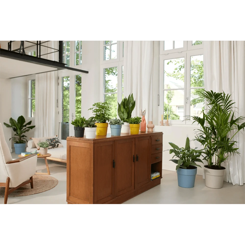 Bloempot Elho b.for original rond 25cm - Duifblauw Bloempot Elho B.for Original Rond 25cm - Duifblauw -Bloempot Kortings Winkel bfor original rond bloempot duifblauw 4 1 1