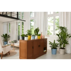 Bloempot Elho B.for Original Rond 30cm -Duifblauw -Bloempot Kortings Winkel bfor original rond bloempot duifblauw 4 1