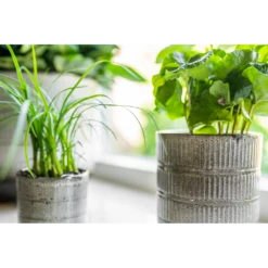 Bloempot Denise - D19 X H19cm - Off White -Bloempot Kortings Winkel bloempot denise d19 x h19cm off white bloempot 3