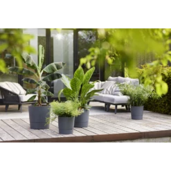 Bloempot Elho Greensense Aqua Care Rond - D43 X H34cm - Houtskoolgrijs 6 Bloempot Elho Greensense Aqua Care Rond - D43 X H34cm - Houtskoolgrijs -Bloempot Kortings Winkel bloempot elho greensense aqua care rond d43 x h34cm houtskoolgrijs bloempot 5 1