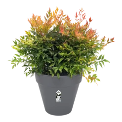 Bloempot Elho Loft Urban Rond 60cm - Antraciet -Bloempot Kortings Winkel bloempot elho loft urban rond antraciet bloempot antraciet 3 2 2