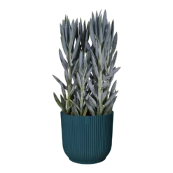 Bloempot Elho Vibes Fold Rond Wielen - D35 X H32cm - Diepblauw -Bloempot Kortings Winkel bloempot elho vibes fold rond wielen d35 x h32cm diepblauw bloempot 3 3