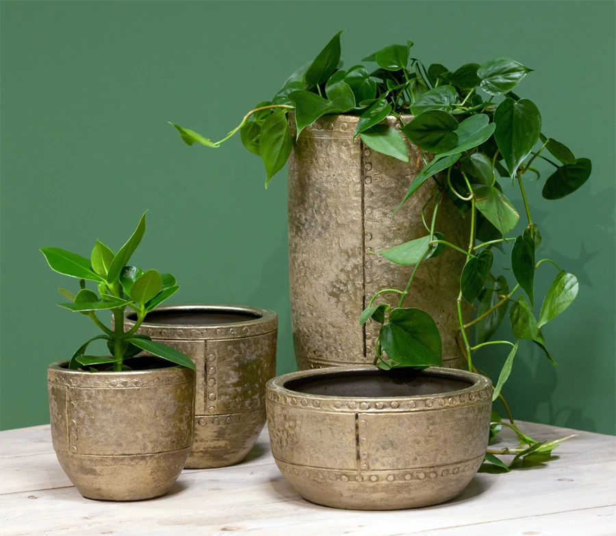 Bloempot Fien - d35 x h32cm - Goud Bloempot Fien - D35 X H32cm - Goud -Bloempot Kortings Winkel bloempot fien d35 h32 goud bloempot 6 7