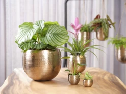 Bloempot Kody - D17 X H16cm - Rosu00e9 Goud 3 Bloempot Kody - D17 X H16cm - Rosu00e9 Goud -Bloempot Kortings Winkel bloempot kody d17 h16 rose goud bloempot 6 7