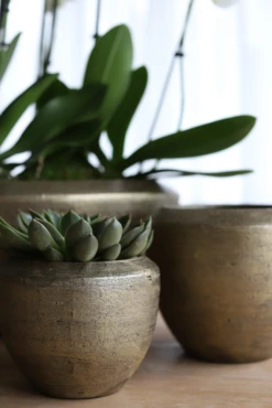 Bloempot Kos - D39 X H36cm - Goud -Bloempot Kortings Winkel bloempot kos goud bloempot 2 1 1