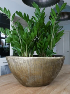 Bloempot Kos Ovaal - L39 X B20 X H31cm - Goud -Bloempot Kortings Winkel bloempot kos ovaal goud bloempot 2 1