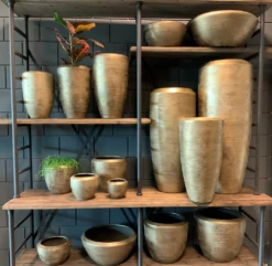 Plantenschaal Kos - D25 X H16cm - Goud 4 Plantenschaal Kos - D25 X H16cm - Goud -Bloempot Kortings Winkel bloempot kos serie goud bloempot 3 1 11