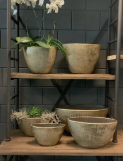 Bloempot Kos Ovaal - L55 X B23 X H29cm - Goud -Bloempot Kortings Winkel bloempot kos serie ovaal goud bloempot 3 1 4