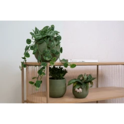 Bloempot Lydia - D22 X H20cm - Shiny Green -Bloempot Kortings Winkel bloempot lydia shiny green bloempot 2