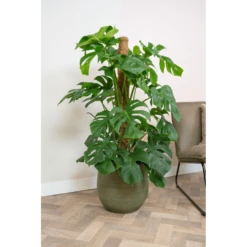 Bloempot Lydia - D26 X H26cm - Shiny Green -Bloempot Kortings Winkel bloempot lydia shiny green bloempot 2 1 1