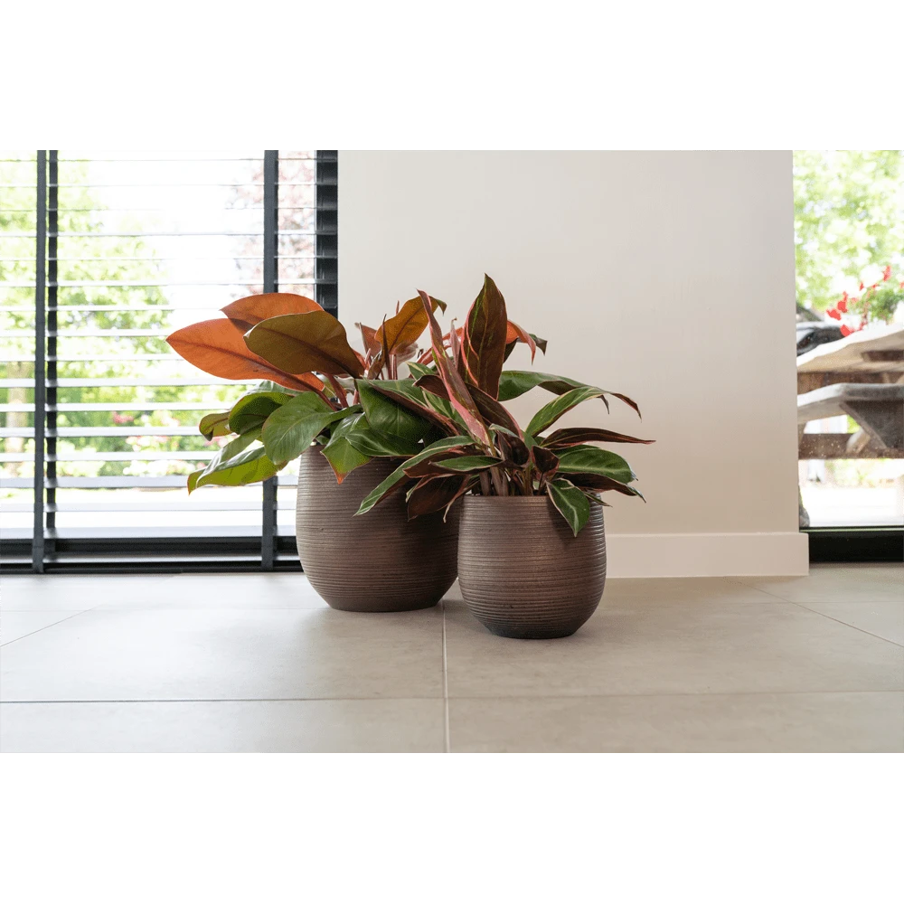 Bloempot Lydia - d36 x h32cm - Shiny Purple Bloempot Lydia - D36 X H32cm - Shiny Purple -Bloempot Kortings Winkel bloempot lydia shiny purple bloempot 2 1