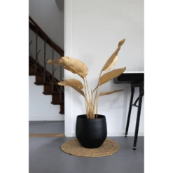 Bloempot Petra - D23 X H20cm - Mat Zwart -Bloempot Kortings Winkel bloempot petra mat zwart 3