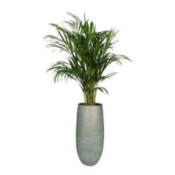 Bloempot Ryan Hoog - D21 X H68cm - Shiny Blue -Bloempot Kortings Winkel bloempot ryan hoog d21 x h68cm shiny blue bloempot 6