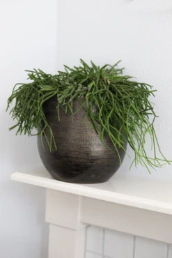 Bloempot Tokio - D28 X H26cm - Goud -Bloempot Kortings Winkel bloempot tokio goud bloempot 2 1