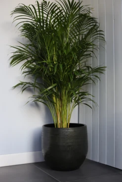 Bloempot Tokio - D39 X H36cm - Groen -Bloempot Kortings Winkel bloempot tokio groen bloempot 2 1