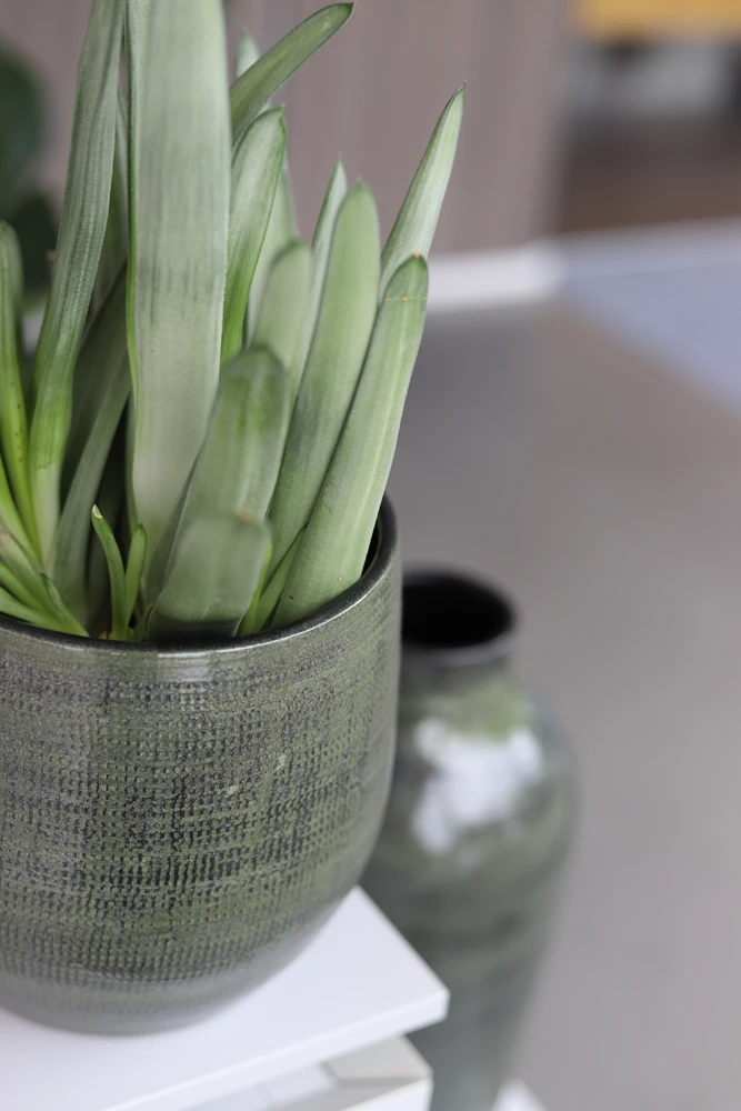 Bloempot Tokio - d24 x h22cm - Groen Bloempot Tokio - D24 X H22cm - Groen -Bloempot Kortings Winkel bloempot tokio klein groen bloempot 2 1 1