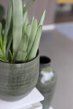 Bloempot Tokio - D20 X H18cm - Groen 3 Bloempot Tokio - D20 X H18cm - Groen -Bloempot Kortings Winkel bloempot tokio klein groen bloempot 2 1