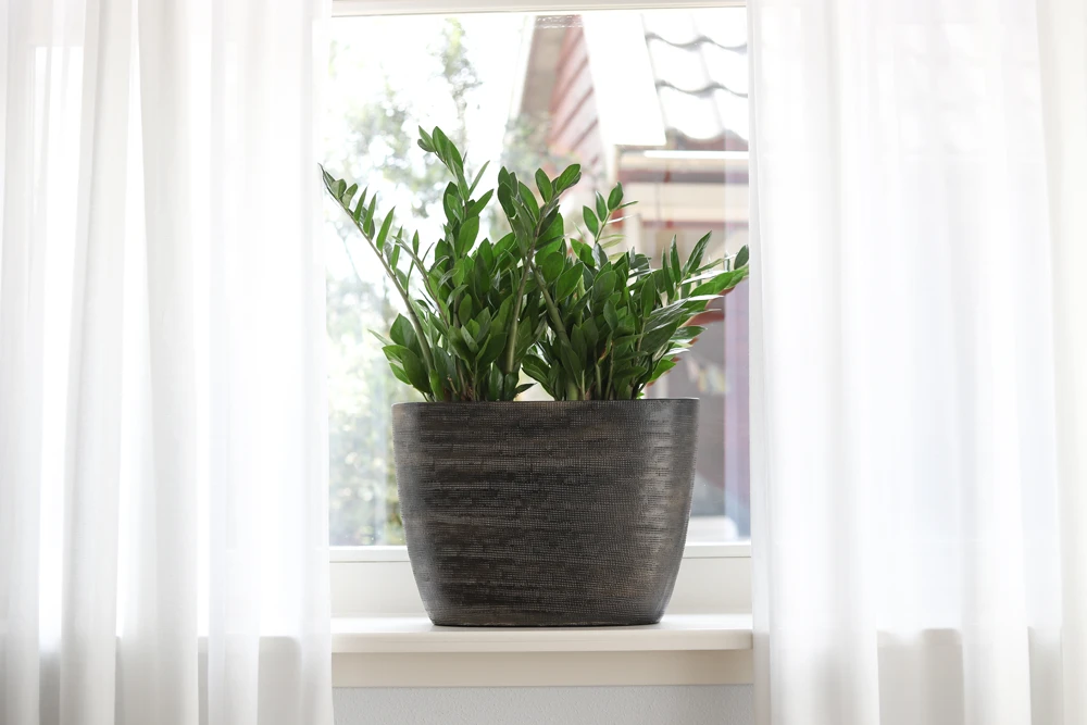 Bloempot Tokio ovaal - l33 x b16 x h26cm - Goud Bloempot Tokio Ovaal - L33 X B16 X H26cm - Goud -Bloempot Kortings Winkel bloempot tokio ovaal goud bloempot 2 1 1