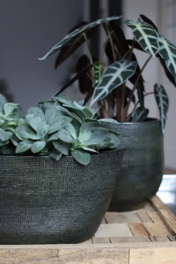 Bloempot Tokio Ovaal - L43 X B15 X H19cm - Groen 3 Bloempot Tokio Ovaal - L43 X B15 X H19cm - Groen -Bloempot Kortings Winkel bloempot tokio ovaal groen bloempot 2 1 1