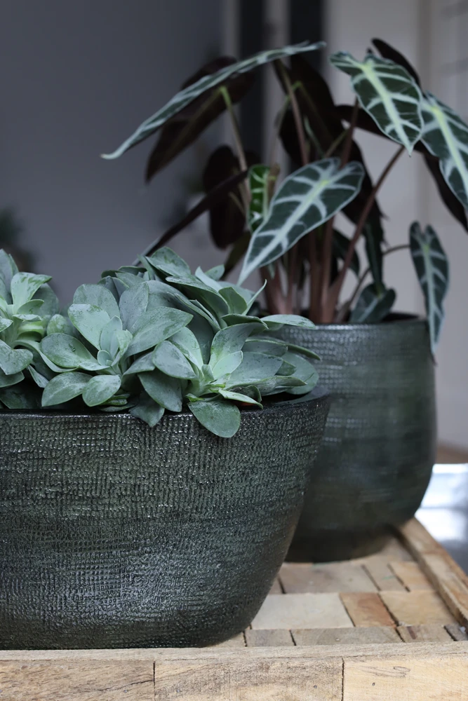 Bloempot Tokio ovaal - l43 x b15 x h19cm - Groen Bloempot Tokio Ovaal - L43 X B15 X H19cm - Groen -Bloempot Kortings Winkel bloempot tokio ovaal groen bloempot 2 1 1