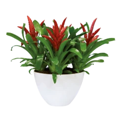 Bloempot Elho Brussels Diamond Ovaal Hoog 36cm - Wit -Bloempot Kortings Winkel brussels diamond ovaal hoog 36cm bloempot wit 6 6