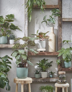 Bloempot Daan - D21.5 X H20.5cm - Groen -Bloempot Kortings Winkel daan pot rond groen h20 5xd21 5cm bloempot 7 12