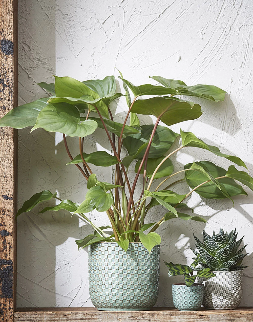 Bloempot Daan - d17 x h16cm - Wit Bloempot Daan - D17 X H16cm - Wit -Bloempot Kortings Winkel