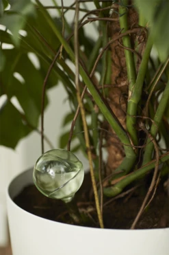 Aqua Care Elho - Transparant -Bloempot Kortings Winkel elho aqua care transparant water geven 7 2