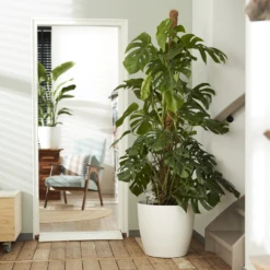 Bloempot Elho Brussels Rond 40cm - Met Wielen - Wit 3 Bloempot Elho Brussels Rond 40cm - Met Wielen - Wit -Bloempot Kortings Winkel elho brussels rond wielen 40 wit bloempot 6 7