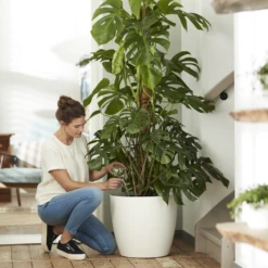 Bloempot Elho Brussels Rond 40cm - Met Wielen - Wit 4 Bloempot Elho Brussels Rond 40cm - Met Wielen - Wit -Bloempot Kortings Winkel elho brussels rond wielen 40 wit bloempot 7 7