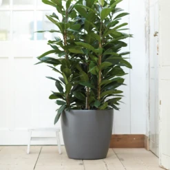 Bloempot Elho Brussels Rond 47cm - Met Wielen - Antraciet -Bloempot Kortings Winkel elho brussels rond wielen 47 grijs bloempot 7 7