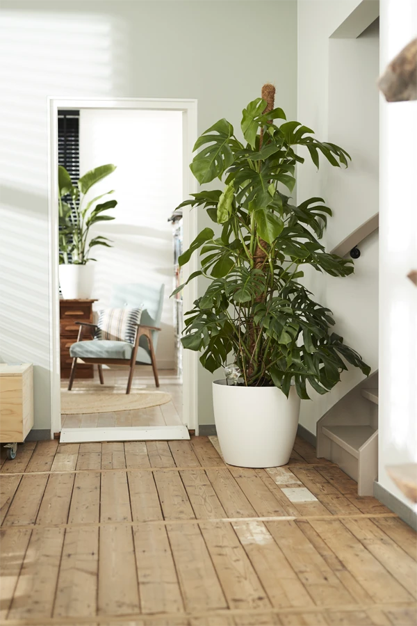 Bloempot Elho Brussels rond 47cm - Met wielen - Wit Bloempot Elho Brussels Rond 47cm - Met Wielen - Wit -Bloempot Kortings Winkel elho brussels rond wielen 47 wit bloempot 6 7