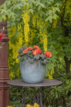 Bloempot Glazed Egg - D30 X H26cm - Groen -Bloempot Kortings Winkel glazed egg pot moss green d30h26 bloempot groen 7 6