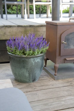 Bloempot Glazed Hp001 - D30 X H25cm - Groen -Bloempot Kortings Winkel glazed hp001 moss green d30h25 bloempot groen 7 6