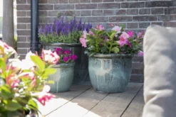 Bloempot Glazed Hp001 - D50 X H39cm - Groen -Bloempot Kortings Winkel glazed hp001 moss green d50h39 bloempot groen 7 6